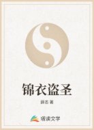 锦衣盗圣