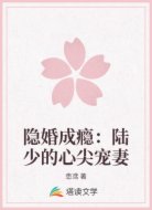 隐婚成瘾：陆少的心尖宠妻
