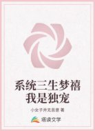 系统三生梦禧我是独宠