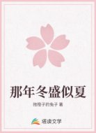 那年冬盛似夏