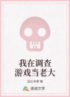 我在调查游戏当老大