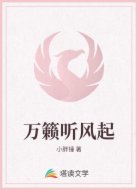 万籁听风起