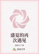 盛夏的再次遇见