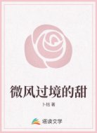 微风过境的甜