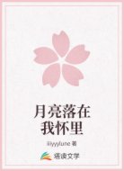 月亮落在我怀里