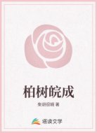 柏树皖成