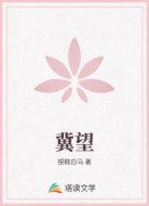 冀望