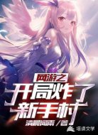 网游:开局炸了新手村