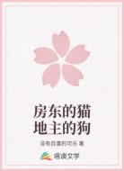 房東的貓地主的狗