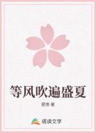 等风吹遍盛夏
