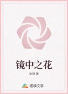 镜中之花