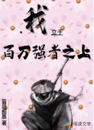 我立于百万强者之上