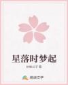 星落時夢起