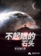 不起眼的石头