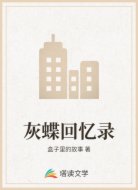 灰蝶回忆录