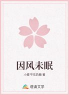 因风未眠