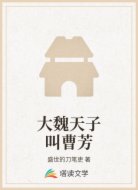 大魏天子叫曹芳
