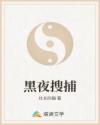 黑夜搜捕