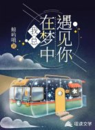 我总在梦中遇见你