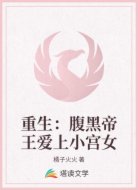 重生：腹黑帝王爱上小宫女