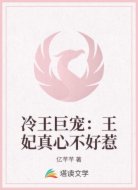 冷王巨宠:王妃真心不好惹