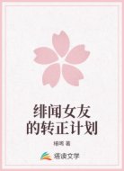 绯闻女友的转正计划