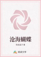 沧海蝴蝶
