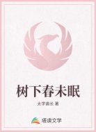树下春未眠