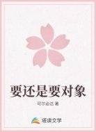 要还是要对象