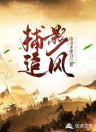 捕影追風(fēng)