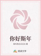 你好斯年