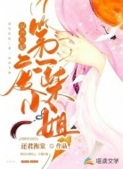 驭兽狂妃:第一废柴小姐