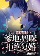 娇宠前妻：爹地，妈咪拒绝复婚