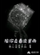 陪你去看流星雨