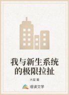 我与新生系统的极限拉扯