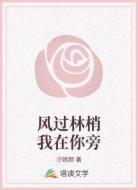 风过林梢我在你旁