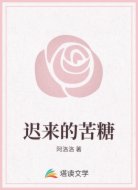 迟来的苦糖