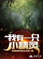 我有一只小精灵
