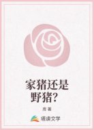 家猪还是野猪?