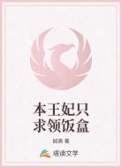 本王妃只求领饭盒