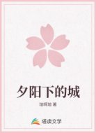 夕阳下的城