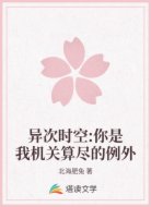 异次时空:你是我机关算尽的例外