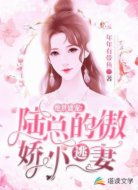 绝世盛宠:陆总的傲娇小逃妻