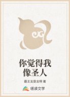 你覺得我像圣人