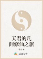 天君的凡间修仙之旅