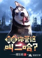 國運(yùn)游戲之你管這叫二哈？