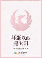 坏蛋以西是太阳