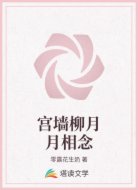 宫墙柳月月相念