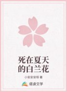 死在夏天的白兰花