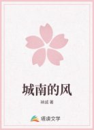 城南的风